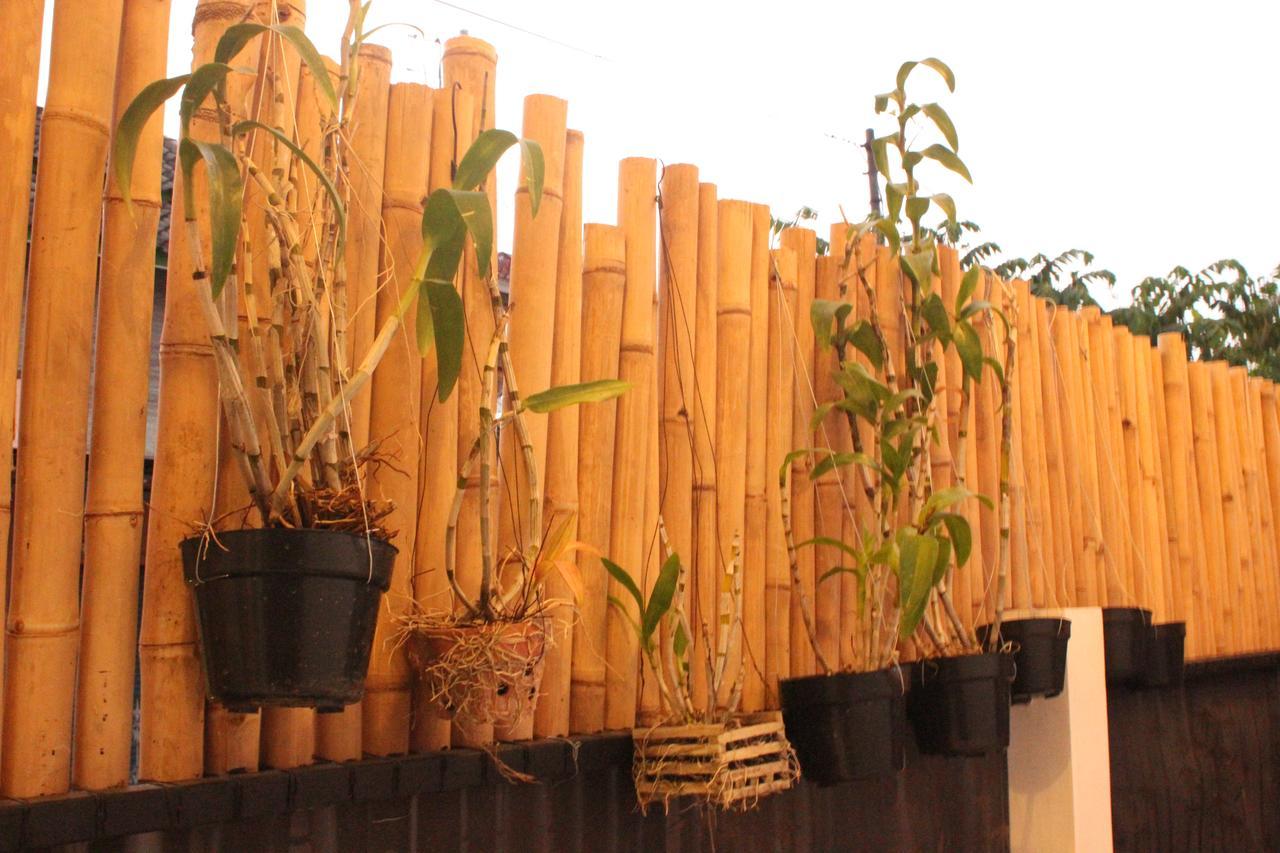 The Wayang Homestay Yogyakarta Luaran gambar